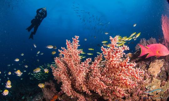 Cursos de buceo SSI y PADI para principiantes y profesionales en Nusapenida