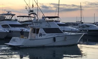 Carta de pescador esportivo Rodman 1250 R em Puerto Banús, Marbella, Espanha