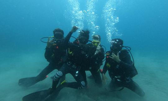 Experience Awesome Dives in Nusapenida, Indonesia!