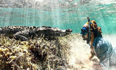 Crocodile Freediving in Isla Mujeres, Quintana Roo