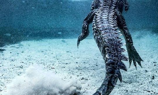 Buceo en apnea con cocodrilos en Isla Mujeres, Quintana Roo