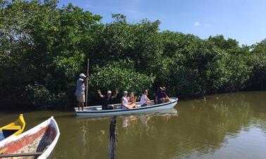 Passeio pelo mangue em Bolívar, Colômbia