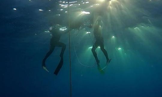 バレアレス諸島、ポートデポレンサのフリーダイバーコース