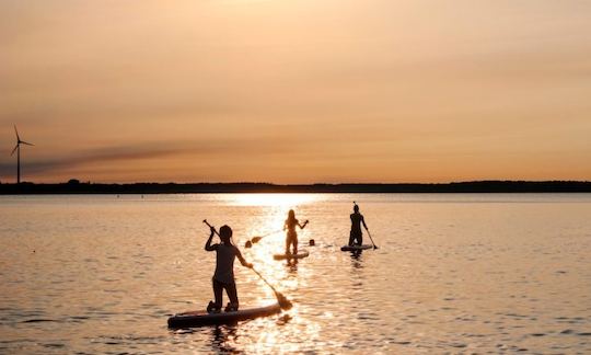 Stand Up Paddleboard Rental in Cartagena, Bolívar