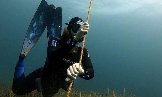 Discover Freediving Course in Cala Sant Vicenç