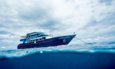 Viagem de um dia para Racha Noi e Ilha Racha Yai - 3 mergulhos