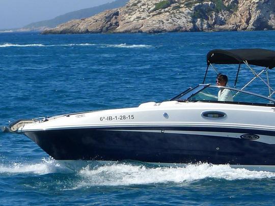 SeaRay 280 Sundeck Charter Ibiza, España