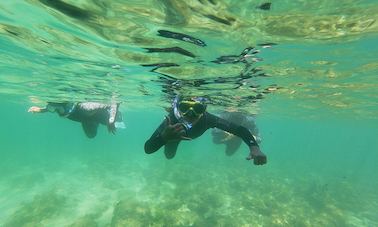 Leçon de plongée en apnée dans la mer d'Albufeira