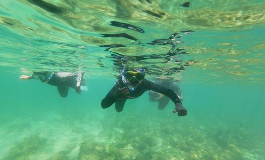 Aula de mergulho com snorkel no mar de Albufeira