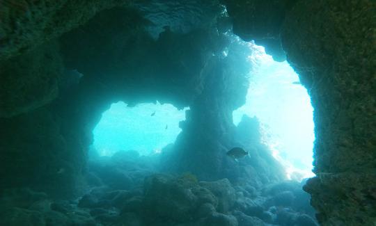 Aula de mergulho com snorkel no mar de Albufeira