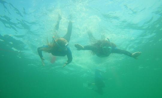 Aula de mergulho com snorkel no mar de Albufeira