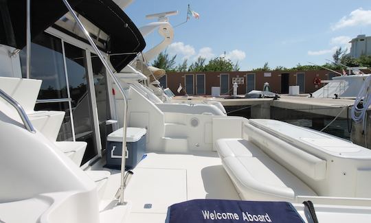 Sea Ray 45' Express Yacht for Charter in Cancun