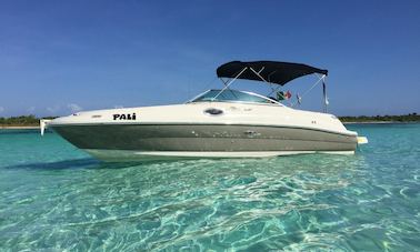 5⭐️ Sea Ray 24’ All Inclusive