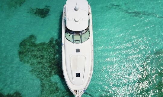 Sea Ray Luxury Boat Charter for 12 People in St. Thomas, U.S. Virgin Islands