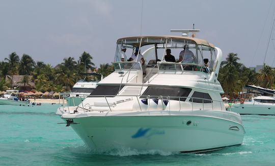 Sea Ray 45' Express Yacht for Charter in Cancun