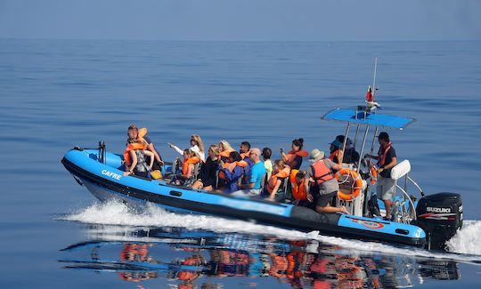 RIB Boat Tour Adventure Cruise in Ponta Delgada