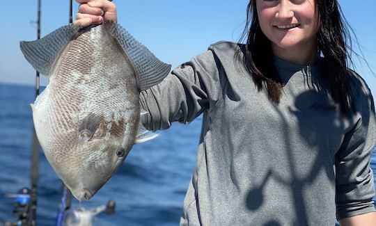 26FT Yellowfin Hybrid Offshore Fishing Trips