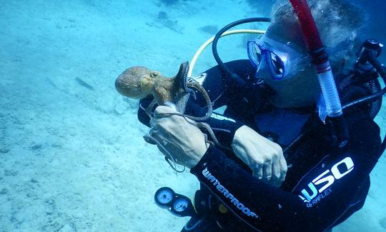 Prueba el buceo en Chalki, Grecia