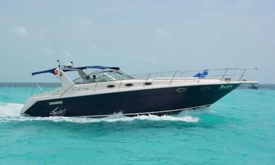 Yacht privé Sea Ray 38 »