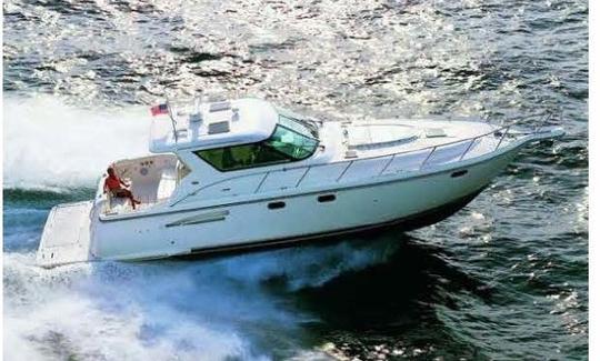 Venha a bordo do Tiara Sovran Motor Yacht Charter Keep'N It Reel de 45 pés