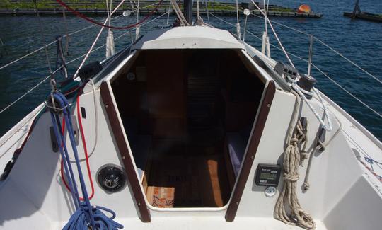 Cruzador de cabine de vela Comet 800 (25 pés)