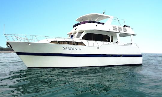 Custom Built 57 feet flybridge cruiser yacht for rent with skipper in Singapore