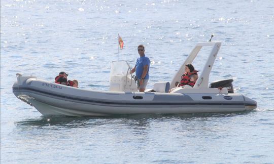 Private Zodiac Boat Tour In Tenerife!