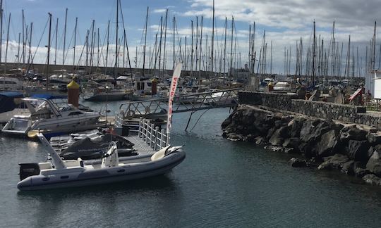 Private Zodiac Boat Tour In Tenerife!