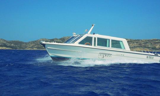 Recorrido en barco con paradas libres por el lago Maggiore, Isla Bella, Madre y Pescatori