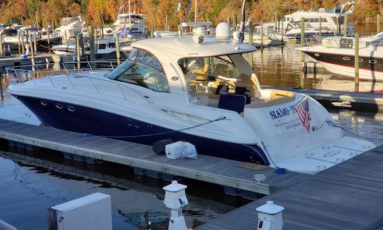 Sea Ray Sundancer 55' Tours on the Potomac River