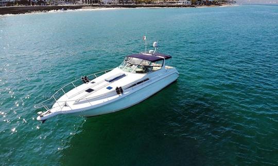 Iate casual aberto Sea Ray 42