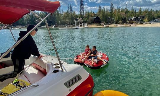 Crownline Deck Boat in Wishon