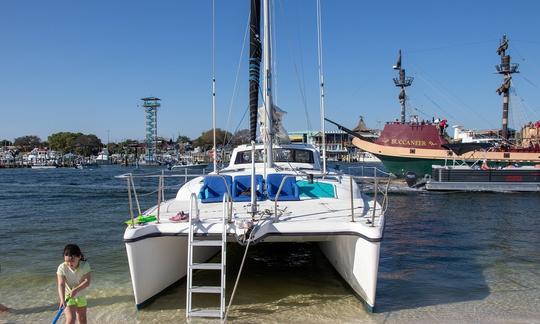 Charter privado de 4 horas em Destin, FL! Ilha do Caranguejo, mergulho com snorkel, golfinhos e muito mais!