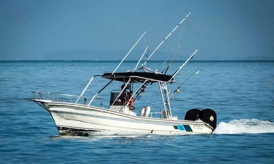 Location de pêche côtière pour 4 personnes à Puerto Vallarta ! Le voyage comprend l'équipement de pêche, une glacière, des appâts vivants, un capitaine et un permis de pêche !