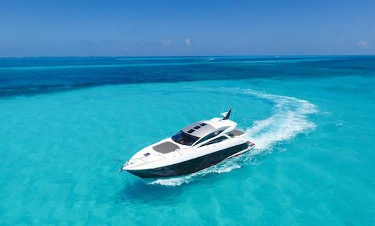 5⭐️ SUNSEEKER 64’ Visit Isla Mujeres