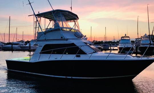 Bateau de pêche à moteur Cabo 35 avec équipement professionnel à Puerto Vallarta