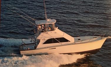 44' Ocean Yacht Sportfisher em Ocean City, MD