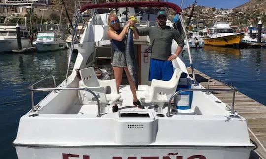 Enjoy Fishing in Baja California Sur, Mexico on 28 ft ' california - Sport 