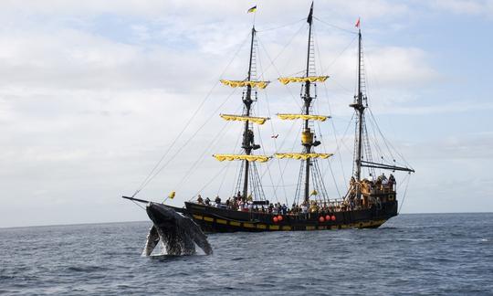 Croisière pirate avec petit-déjeuner et observation des baleines (15 décembre-15 avril)