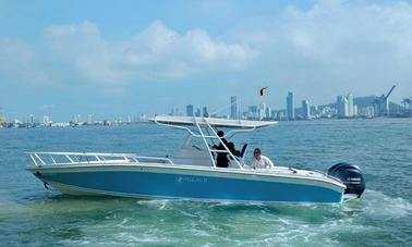 33ft luxury speedboat with bathroom and professional crew - Island hopping