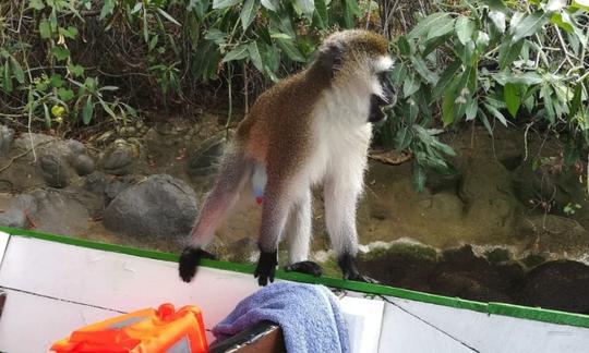 Passeios de barco pelo Lago Kivu com guia!