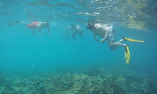 Île de La Parguera et excursion de plongée avec tuba, Lajas PR