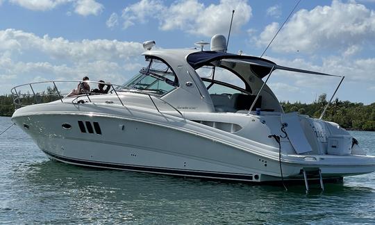 Immaculate Sea Ray Sundancer 44ft Sports Yacht for Charter!