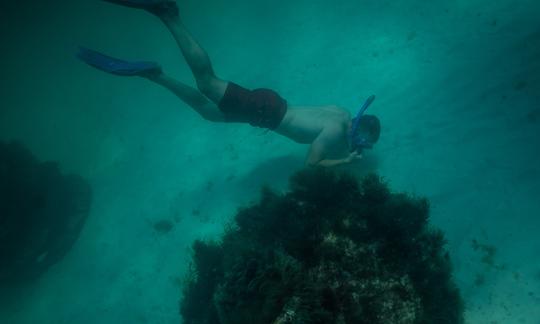 Crab Island, plongée en apnée et croisière avec les dauphins. Charter privé jusqu'à 6 personnes