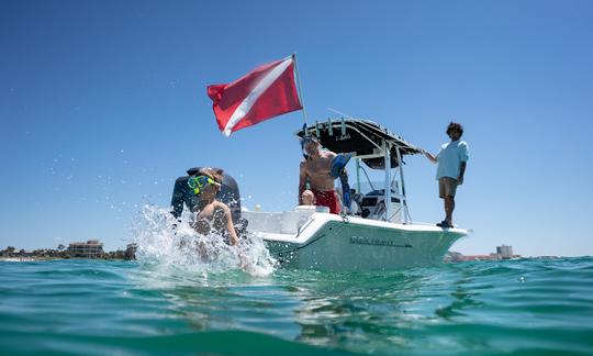 Crab Island, plongée en apnée et croisière avec les dauphins. Charter privé jusqu'à 6 personnes