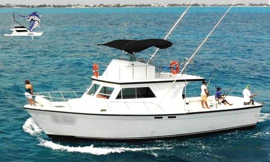 Pegue o grande com nosso exclusivo barco de pesca Defender 48 pés 