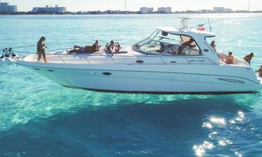 DSTNY 46' Sea Ray Yacht para 15 convidados em Cancún, Quintana Roo