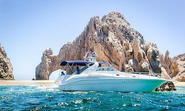 Oferta de paquete Sea Ray Yacht de 45 pies en Cabo San Lucas, Baja California Sur