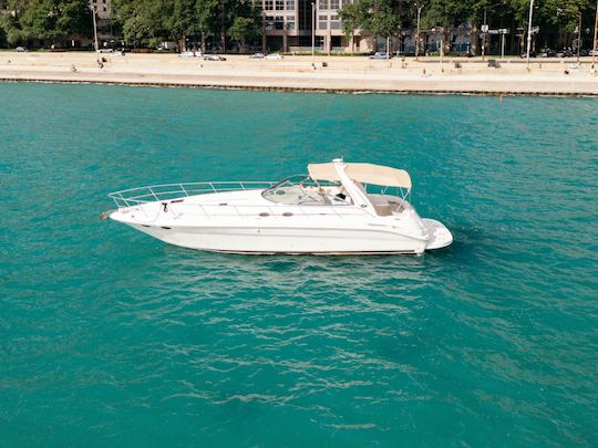 Enjoy Chicago! 46' Beautiful Sea Ray Yacht - Perfect for Parties 