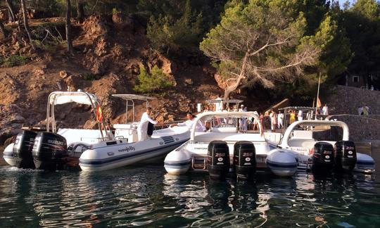 Alugue um Nuova Jolly King 990 para 12 pessoas em Port de Sóller, Espanha